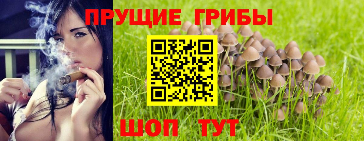 Псилоцибиновые грибы MAGIC MUSHROOMS Феодосия